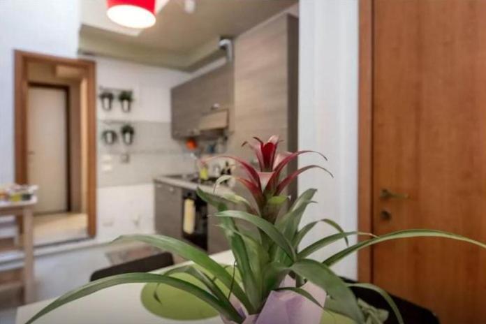 Guelfa Apartamento